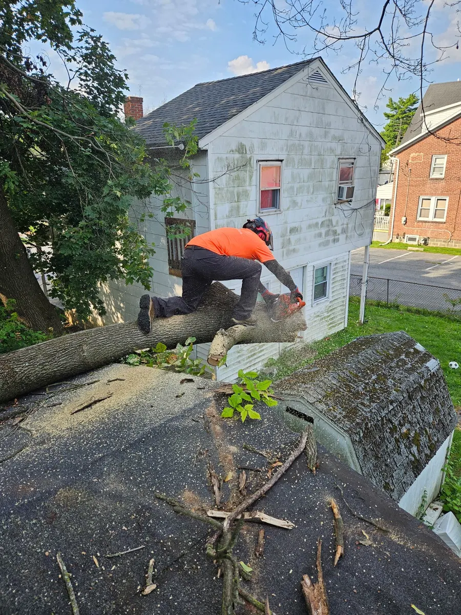 Crew member using a chainsaw to cut a fallen tree limb near a house