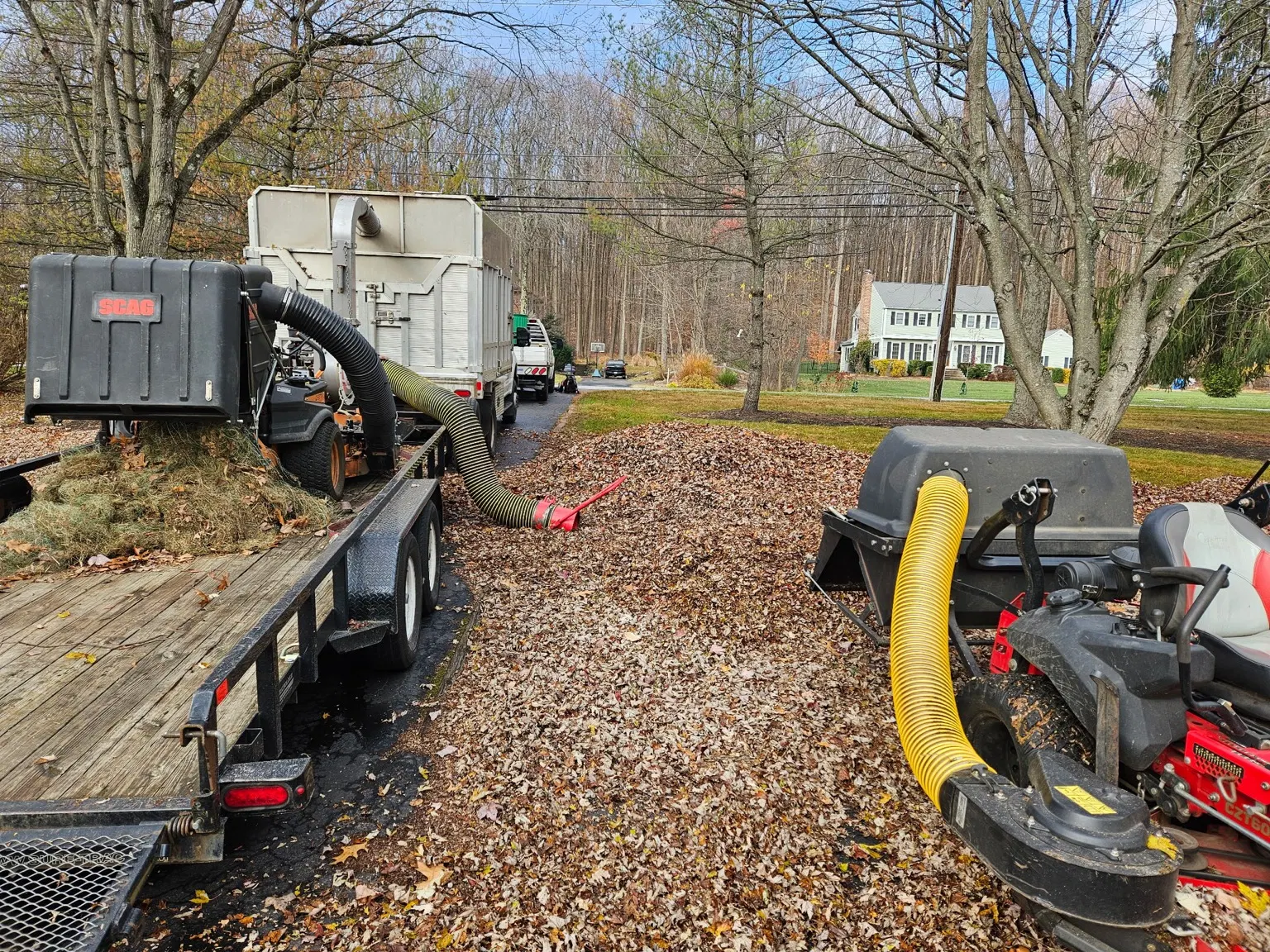 Leaf vacuum hose and utility trailer during fall leaf cleanup