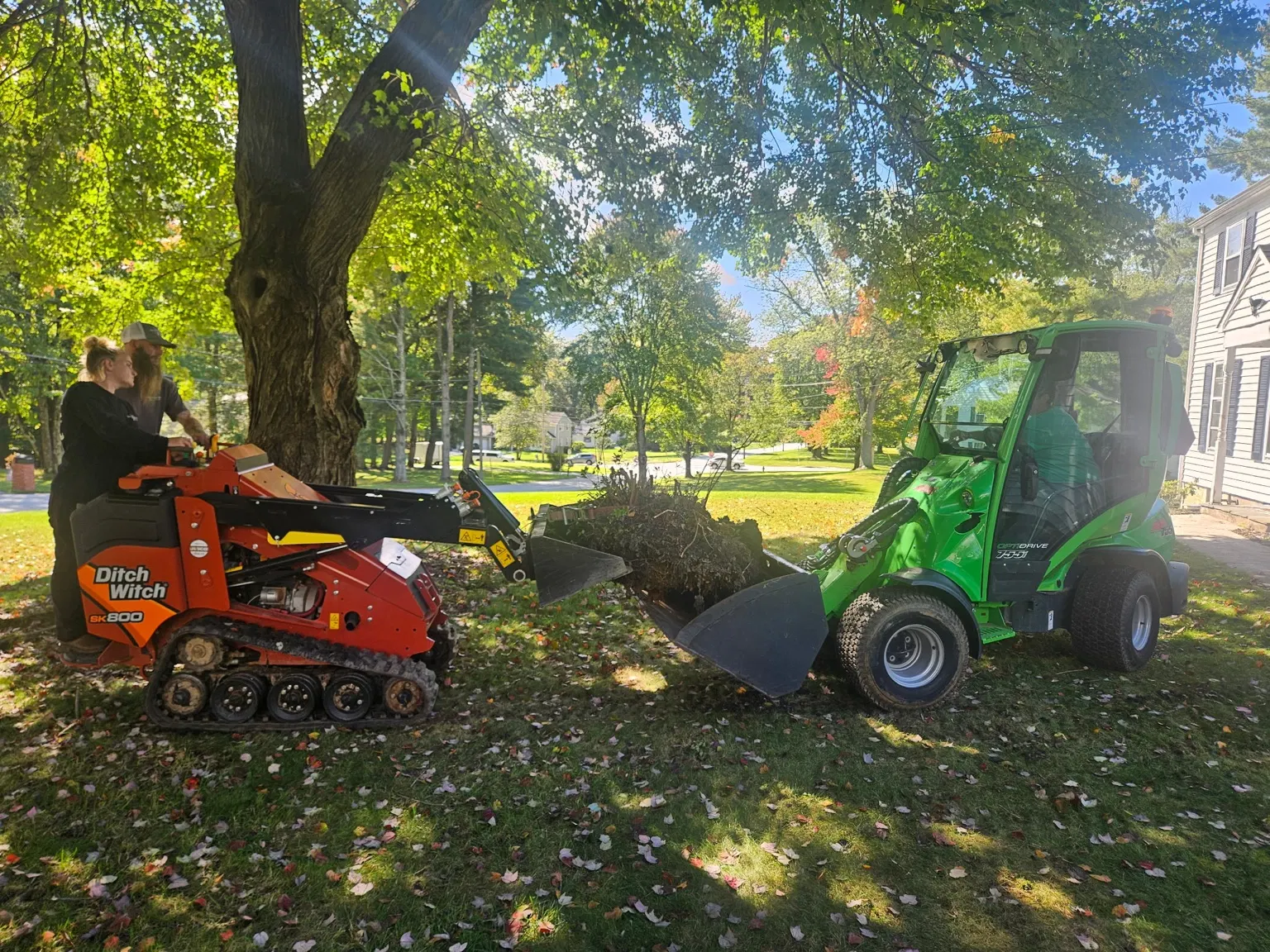 Stump grinder and compact loader beneath trees during yard cleanup