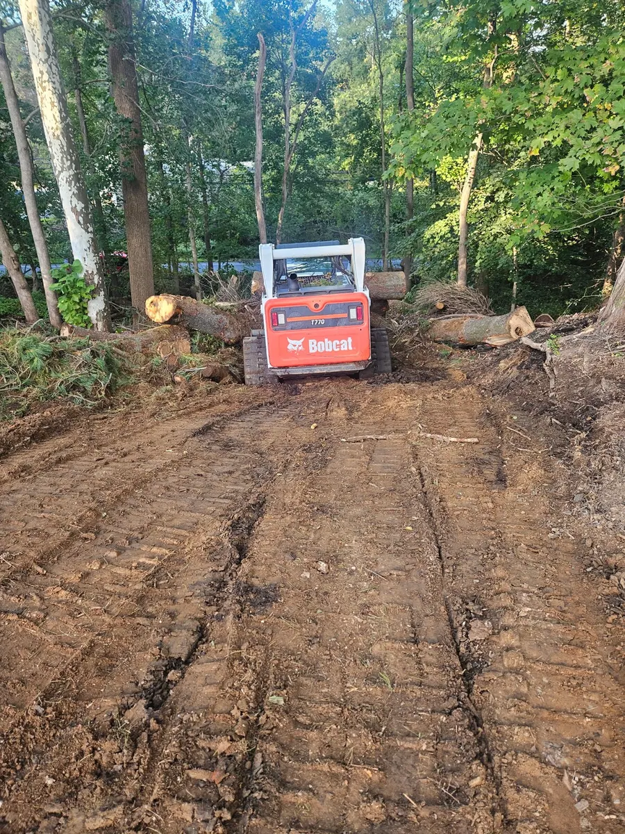 Tracked loader among cut logs during wooded lot cleanup