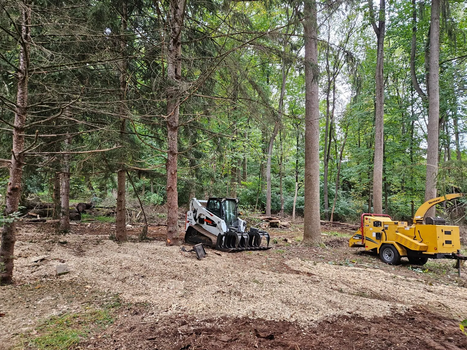 Compact loader and wood chipper on a cleared section of a wooded lot